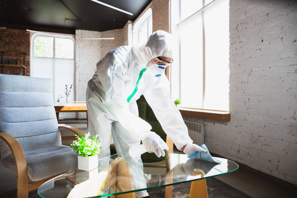 Why You Should Choose Our Mold Remediation Services in Mountain Lodge Park, NY